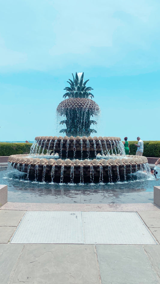 Charleston Recommendations